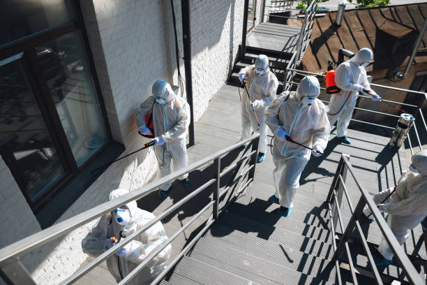 Best Black Mold Removal  in Bryson City, NC