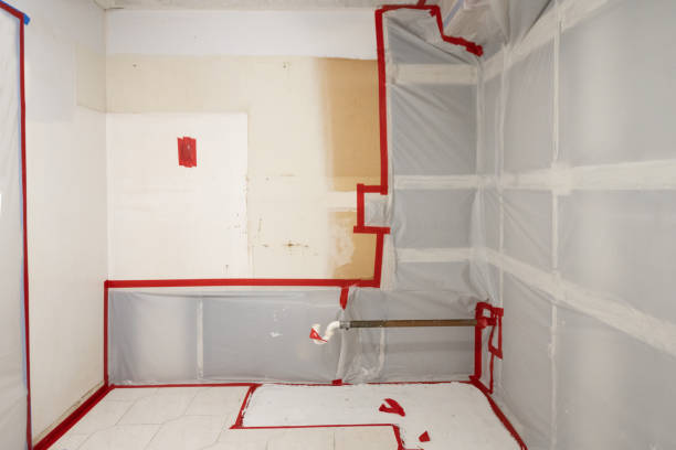 Best Forensic Mold Investigation  in Bryson City, NC
