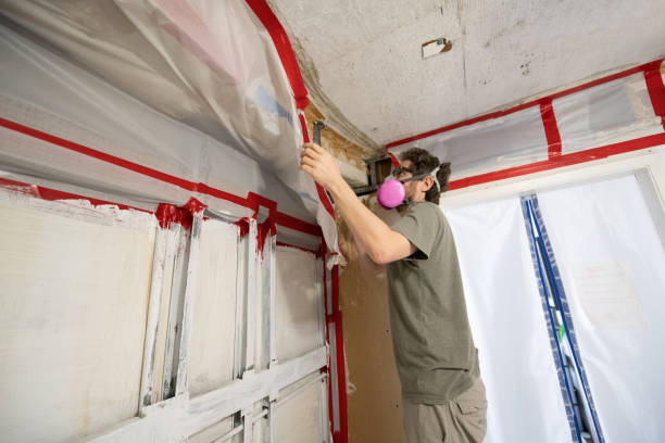 Best Post-Remediation Verification Testing  in Bryson City, NC