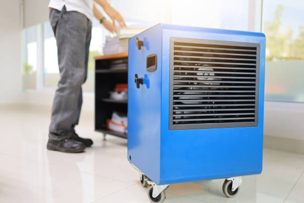 Best Environmental Consulting for Mold Prevention  in Bryson City, NC